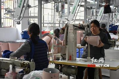 筑巢引鳳 邵東打造產(chǎn)業(yè)集聚發(fā)展&ldquo;孵化器&rdquo;